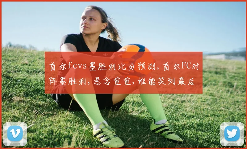 首尔fcvs墨胜利比分预测,首尔FC对阵墨胜利,悬念重重,谁能笑到最后